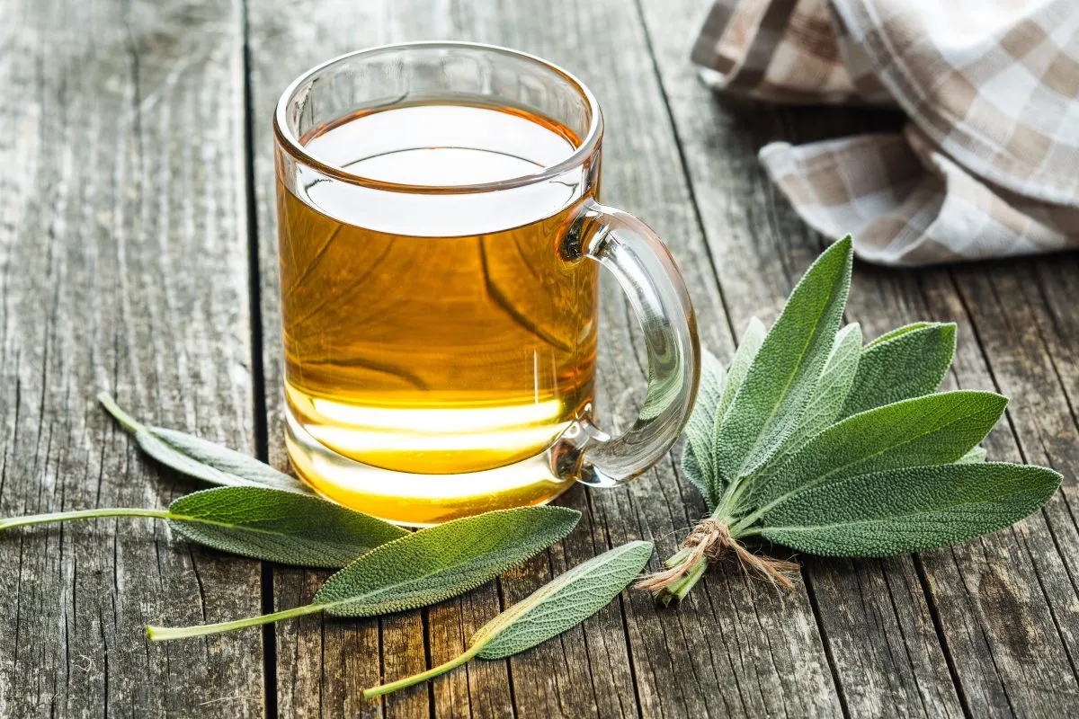 Planta aromática